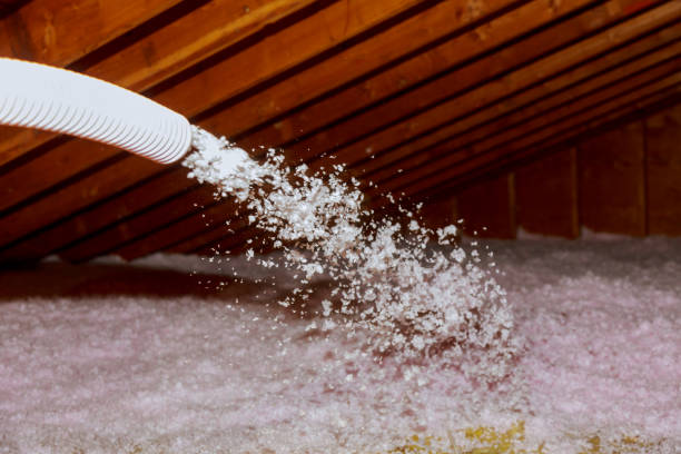 Best Eco-Friendly Insulation in Bella Vista, CA